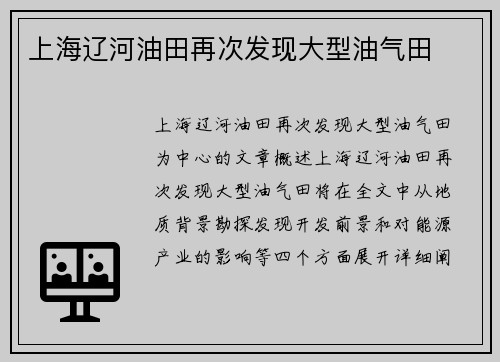 上海辽河油田再次发现大型油气田